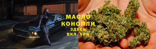 молекула духа Медногорск