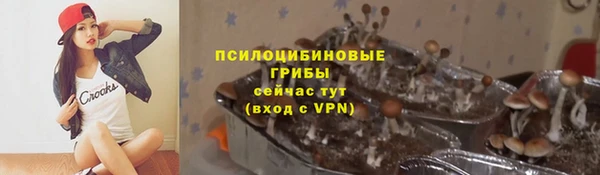 apvp Мегион