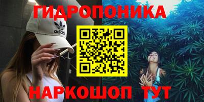 гидра Балашиха