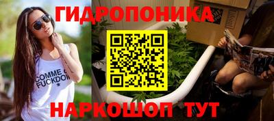 гидра Балашиха