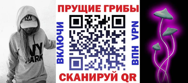Галлюциногенные грибы Psilocybe  дарнет шоп  Прокопьевск 