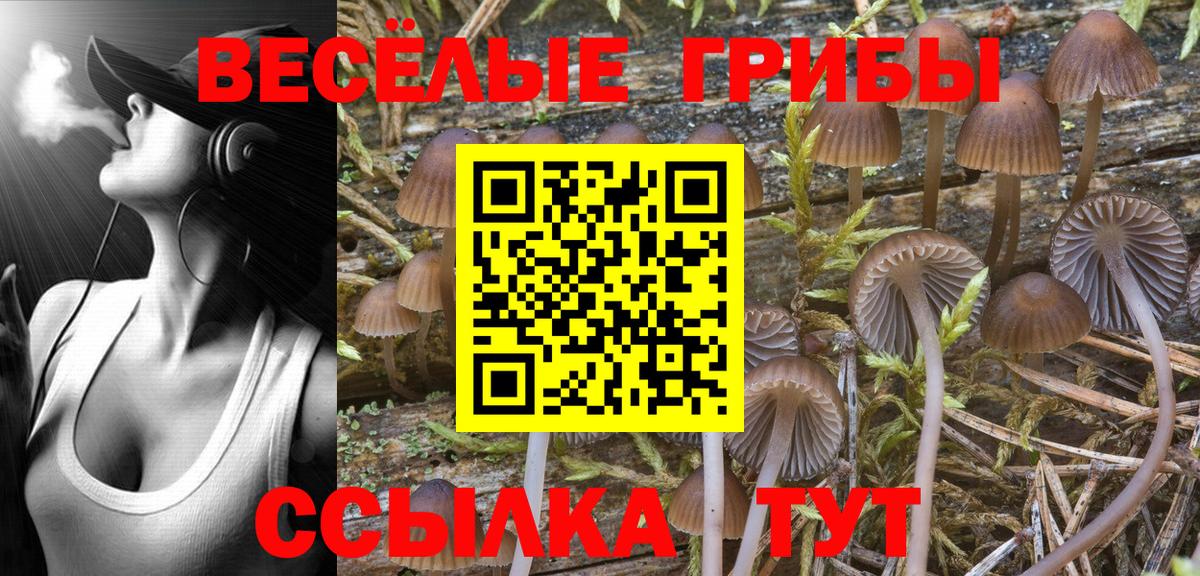 Псилоцибиновые грибы Psilocybine cubensis  Псилоцибиновые грибы MAGIC MUSHROOMS  Вход с VPN  Прокопьевск 