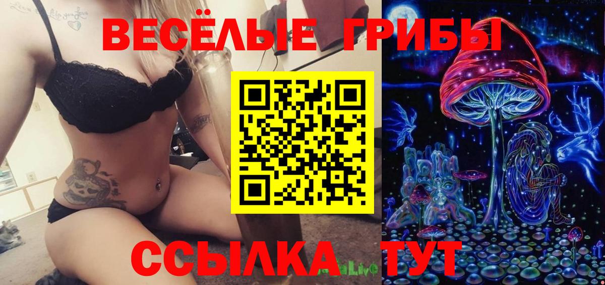 Галлюциногенные грибы Psilocybine cubensis Прокопьевск