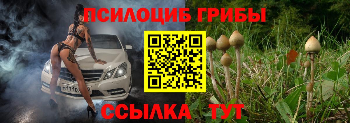 Галлюциногенные грибы MAGIC MUSHROOMS Прокопьевск