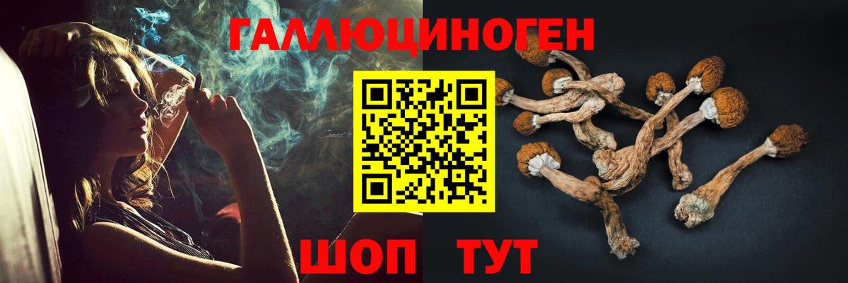 Галлюциногенные грибы GOLDEN TEACHER  Прокопьевск  Псилоцибиновые грибы GOLDEN TEACHER 